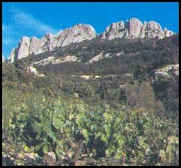Dentelles de Montmirail