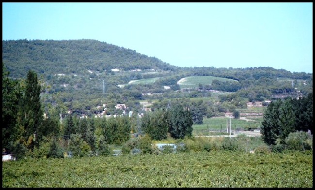 Vue sur les vignes